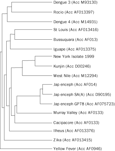 Identification of a Kunjin/West Nile-like flavivirus in brains of patients with New York encephalitis; The Lancet Interactive; Volume 354, Number 9186, 9 October 1999;Thomas Briese, Xi-Yu Jia, Cinnia Huang, Leo J Grady, W Ian Lipkin